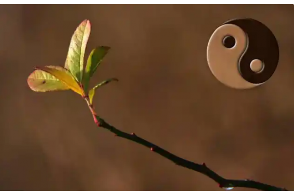 风水为什么可以改运